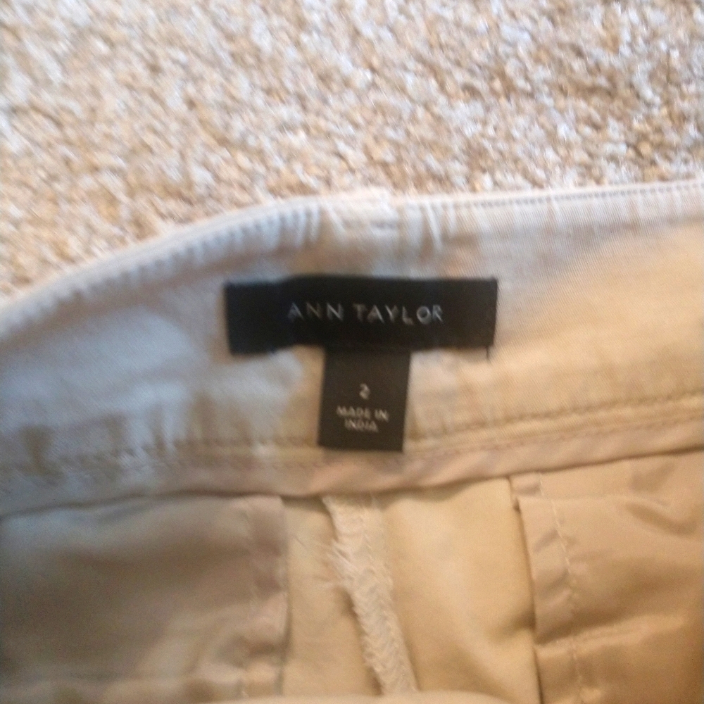 Ann Taylor Women's Shorts  Size 2